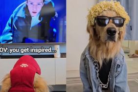 dog Justin Timberlake video