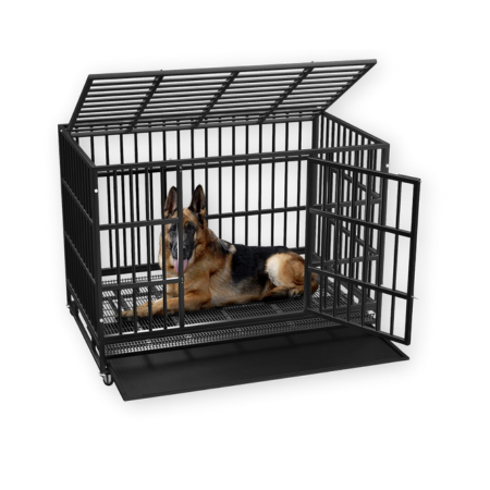 LEMBERI Heavy Duty Dog Crate