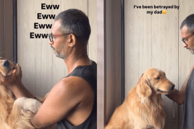 funny dog video