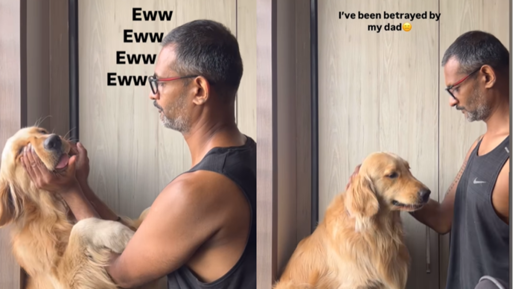 funny dog video