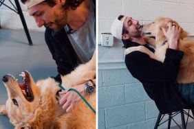 Rescue dog reunion photos