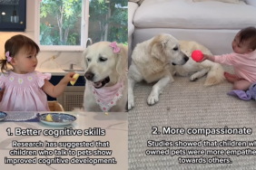 adorable dog video