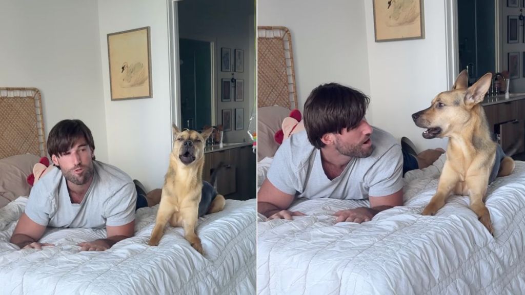Instagram video shows what rescue dog does when owner copies him