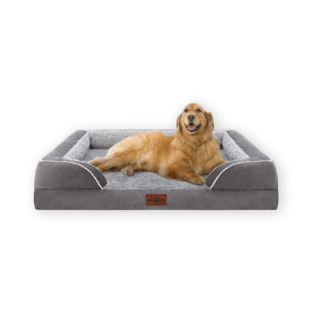 Comfort Expression Orthopedic Foam Dog Bed
