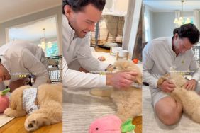 Golden Retriever puppy meets dad for the first time in viral video