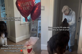 adorable dog video