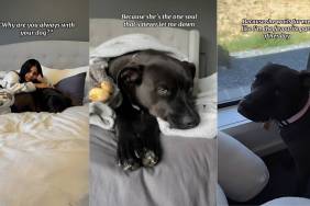 owner girl dog video