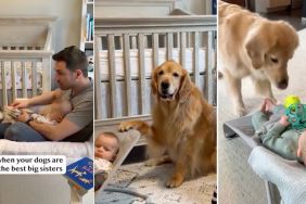 Video: Golden Retrievers Are ‘Best Big Sisters’ to Baby Brother