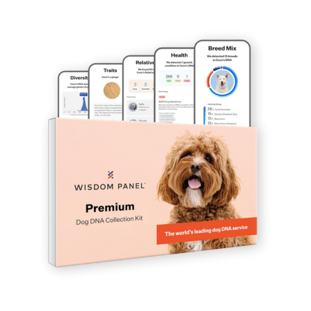 Wisdom Panel Premium Dog DNA Kit