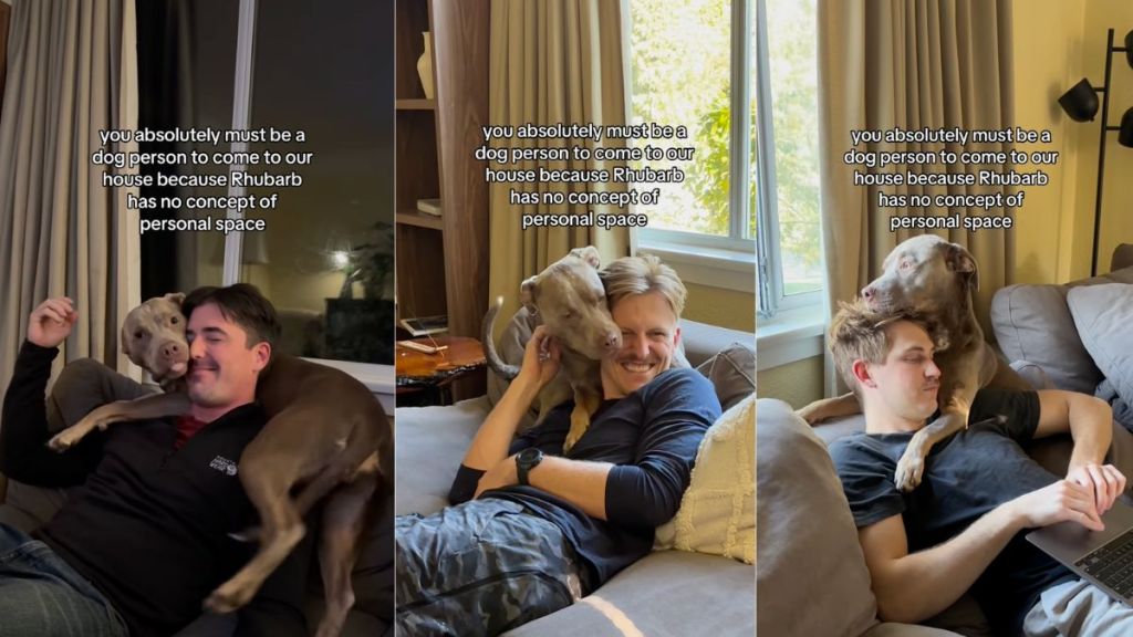 Owner reveals that their dog 'has no concept of personal space' in video
