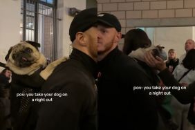 pug nightout video