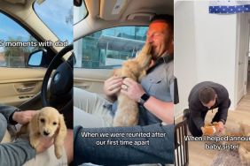 Instagram video shows puppy's moments with his dad