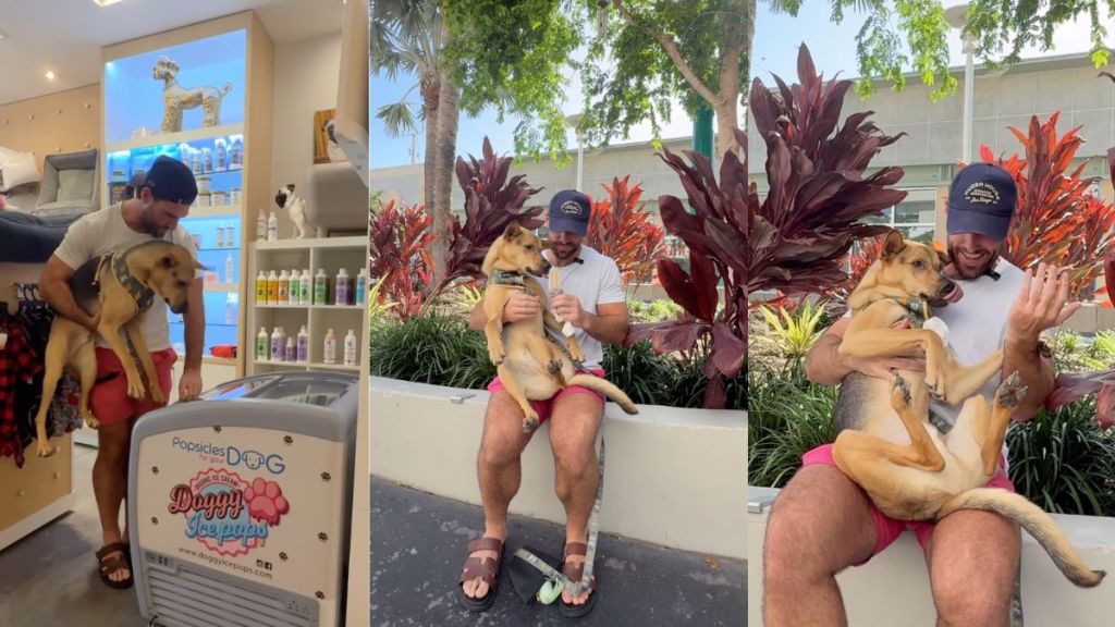 Instagram video shows rescue dog trying a pupsicle while sitting in owner's lap