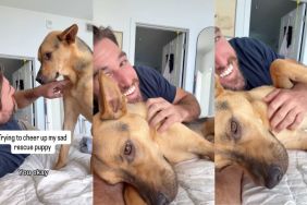 Instagram video shows rescue pup cuddling with owner when he's sad