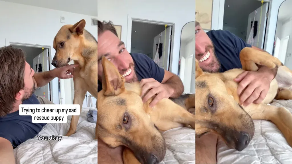 Instagram video shows rescue pup cuddling with owner when he's sad