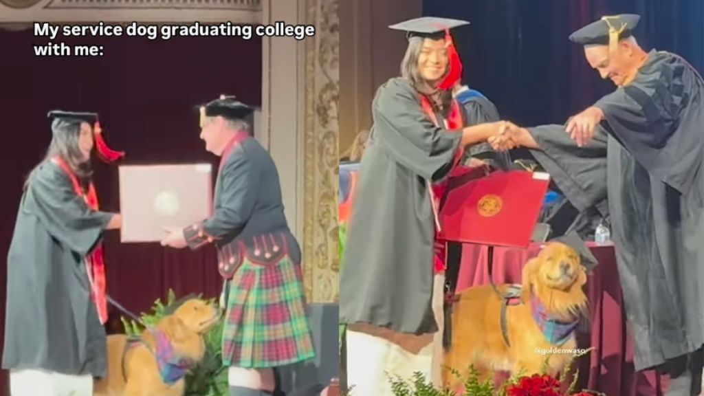 Owner brings service dog to graduation ceremony in viral video