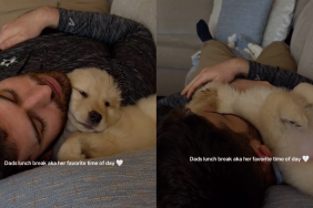 Golden Retriever dad video
