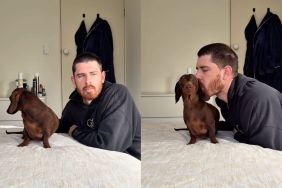 Instagram video shows Dachshund is too surprised to react to kisses