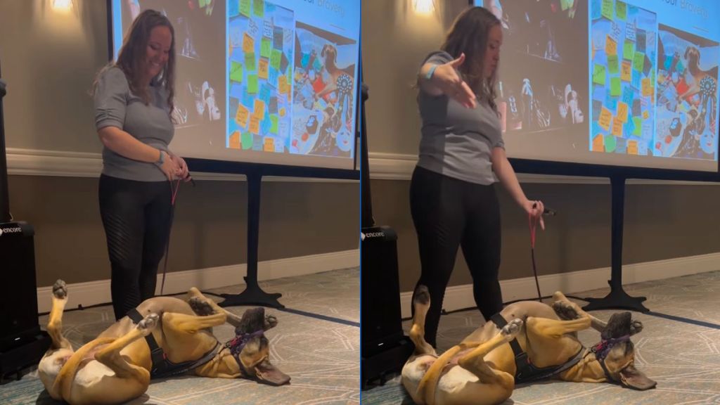 Service dog is the 'center of attention' during owner's keynote speech in video