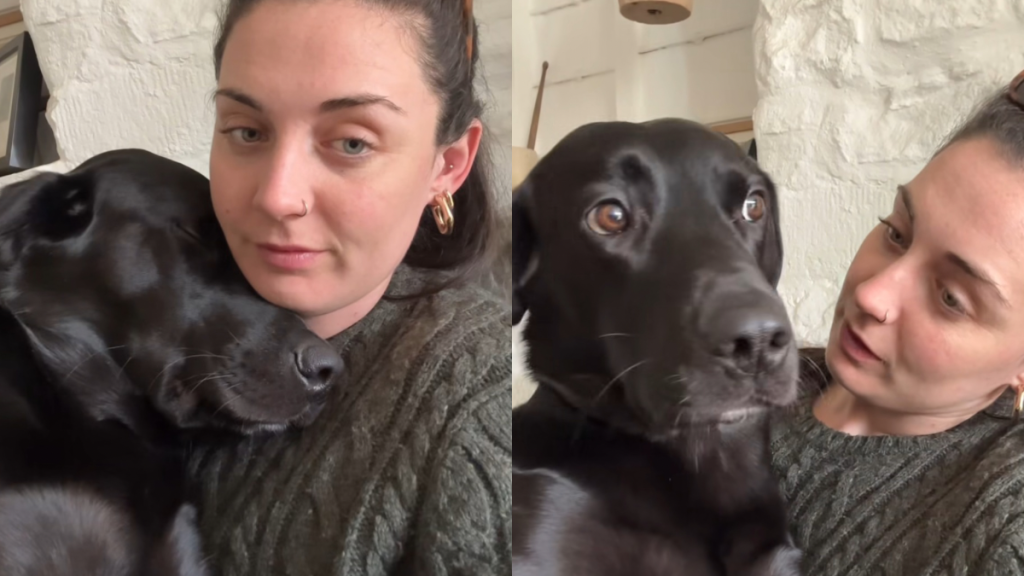 dog mom outing video