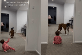 Adorable dog and baby video