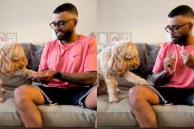 Cockapoo mathematics video