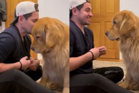 Owner Tricks Golden Retriever To Kiss Him in Adorable Video
