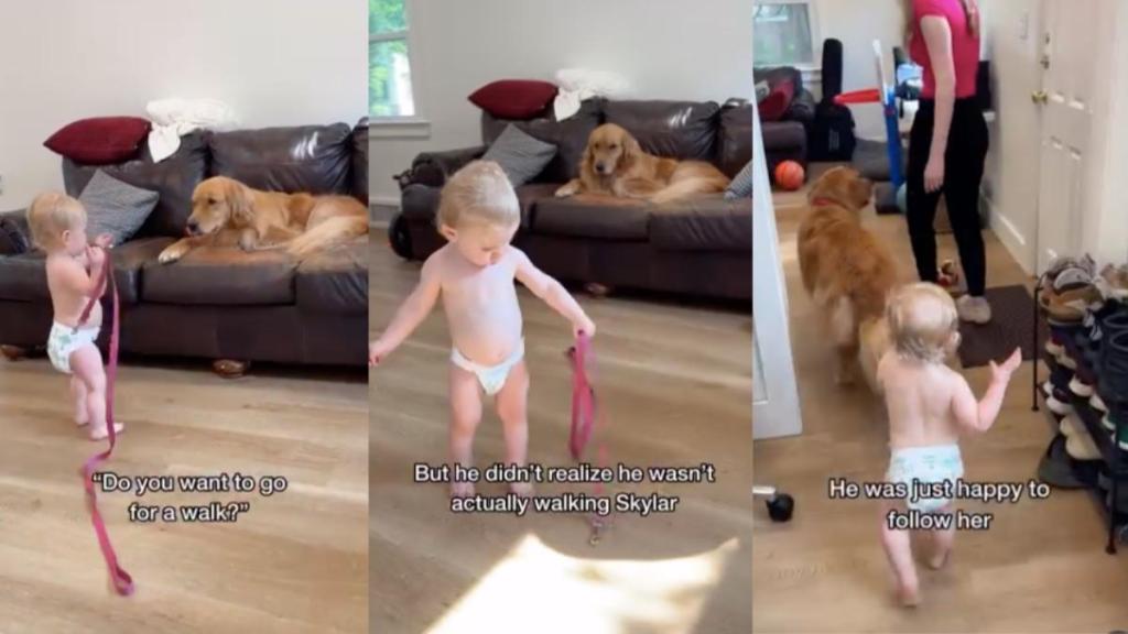 Toddler dog walk video