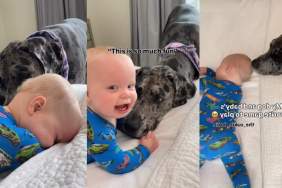 Video: Big Dog & Tiny Baby's Favorite Game to Play Involves a Ton of Giggles