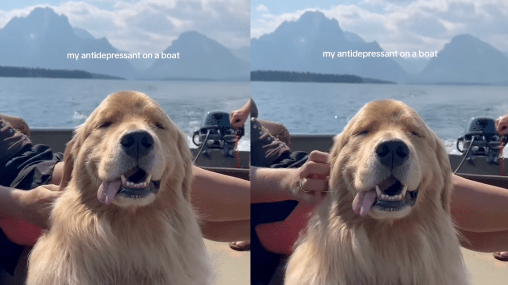 Banks enjoying a boat ride.