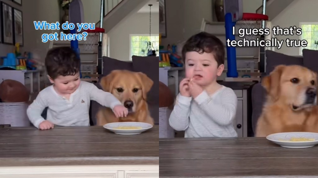 Video: Golden Retriever Joins Toddler in Cutest Mischief