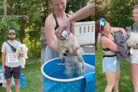 Milo getting a bath in the park.