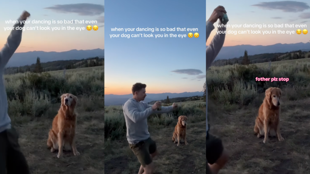 Nala the Golden Retriever judging her dad's dancing skills.