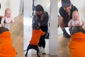 Dog reuniting with family.