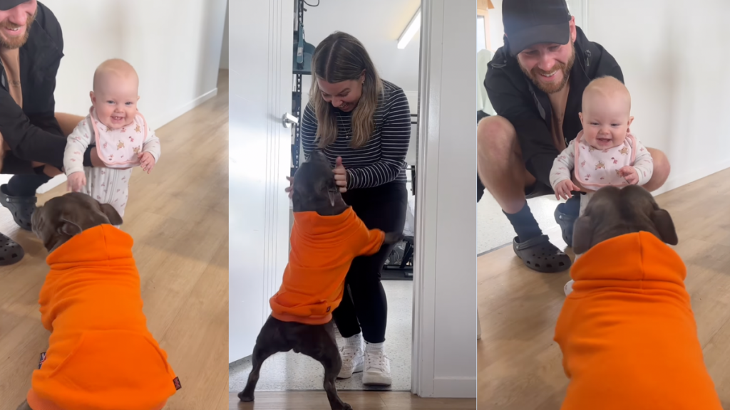 Dog reuniting with family.