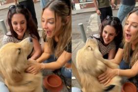 Video: Golden Retriever Has Madelyn Cline Fangirling Over Him