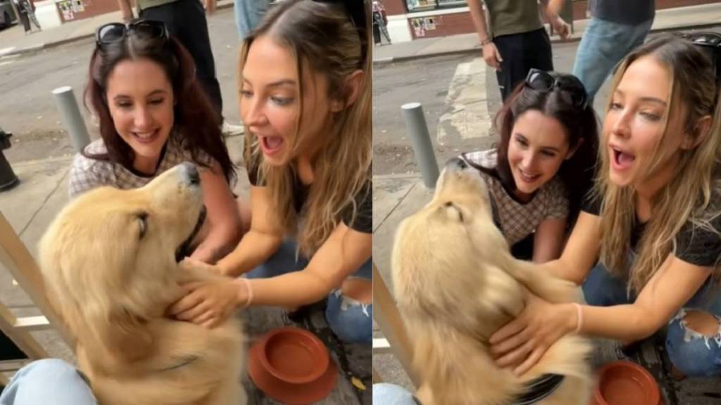 Video: Golden Retriever Has Madelyn Cline Fangirling Over Him