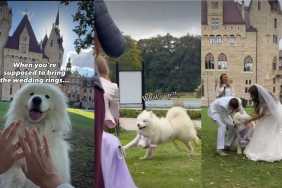 Video: ‘Ringbearer’ Samoyed Wreaks Havoc at Owners’ Wedding