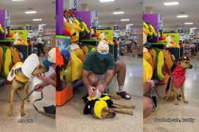 Video: Rescue Dog Picks Out a Costume for Halloween Party