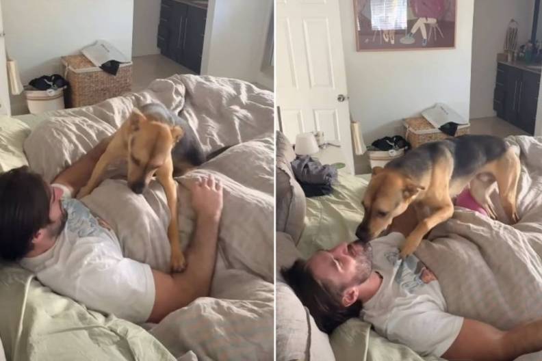 Video: Rescue Puppy Wins Hearts with Cute Morning Greeting to Owner