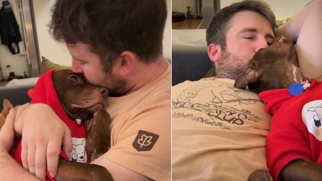 Video: 'Neglected' Foster Dog Learns True Love From Dad