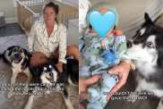 Video: Huskies Meet Newborn Babies & Go Into Protection Mode