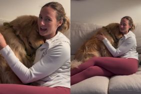Video: Dog Has Adorable Reaction to Owner's Roommate Coming Home