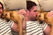 Video: Rescue Puppy Does This After Seeing Owner After a Day
