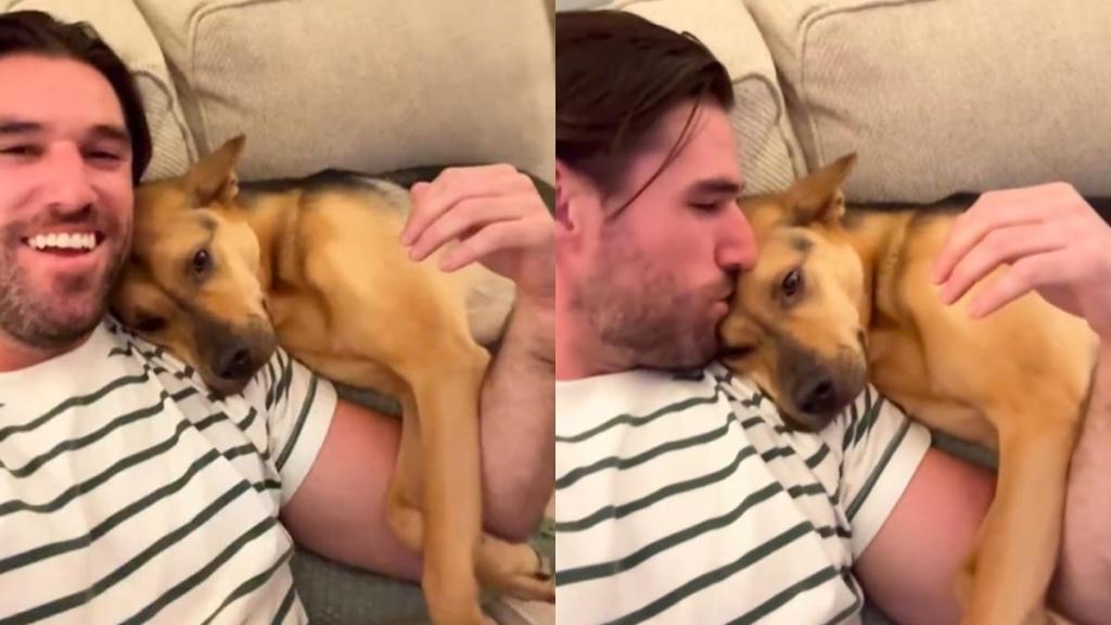 Video: Rescue Puppy Does This After Seeing Owner After a Day