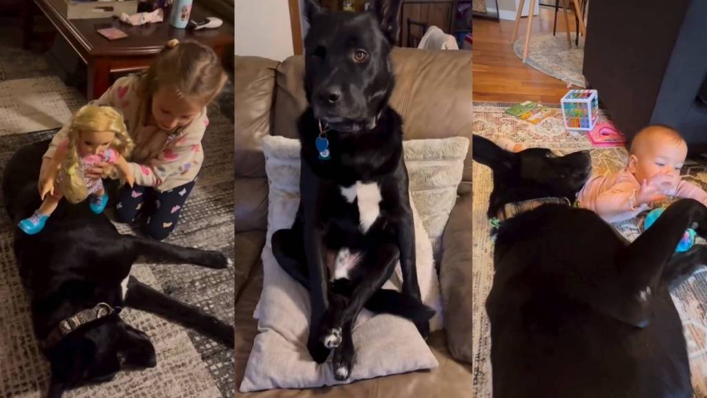 Video: Dog’s Antics Are Like He’s Just ‘One of the Siblings'