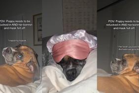 Video: Boxer Proves She Will 'Get Her Way' No Matter What