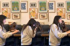 Video: 'Previously Neglected' Dog Does This With Foster Parent