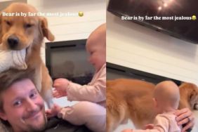 Video: Golden Retriever Is ‘Most Jealous’ of Dad Spending Time With Baby