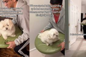 Video: Maltese Transported to Room on ‘Ottoman Cover’ at Night